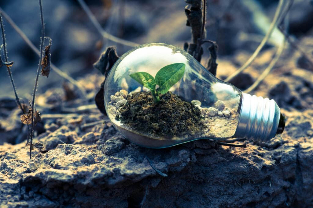 pexels-singkham-178541-1108572 Sustainable finance being integrated by top financial advisors